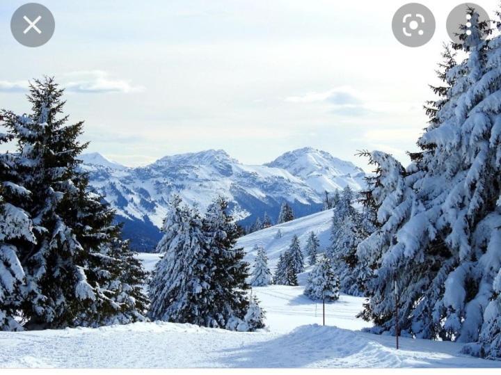 L'Oree Des Bois , Detente Et Calme . Mesigny Экстерьер фото